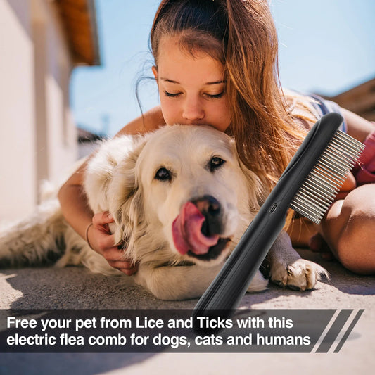 Ultimate Guide to Smart Dog Gadgets: Boost Your Pet's Life with Tech