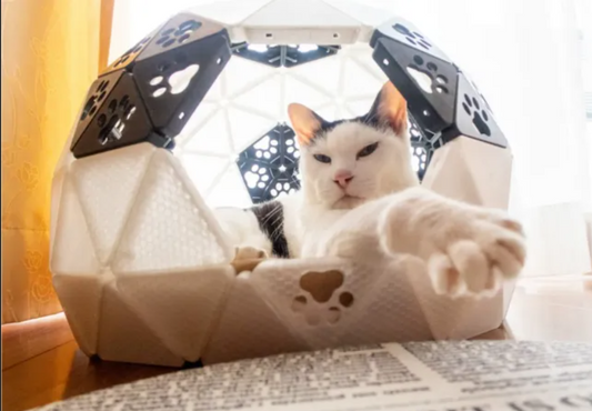 Discover how 3D printing is transforming pet care.