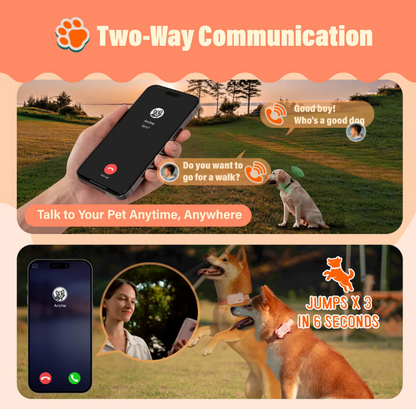 PetPhone – First Smartphone Designed For Pet