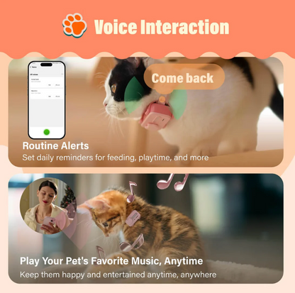 PetPhone – First Smartphone Designed For Pet